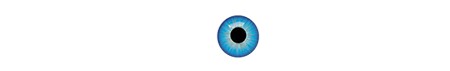 Bold Vision Group